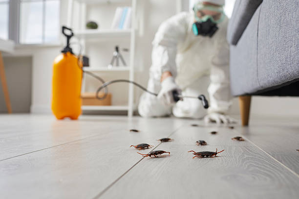 Trusted Emergency Pest Control service in Uniontown, PA - Nex Pest Control