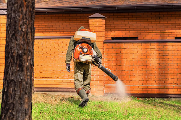 Trusted Bed Bug Control service in Uniontown, PA - Nex Pest Control